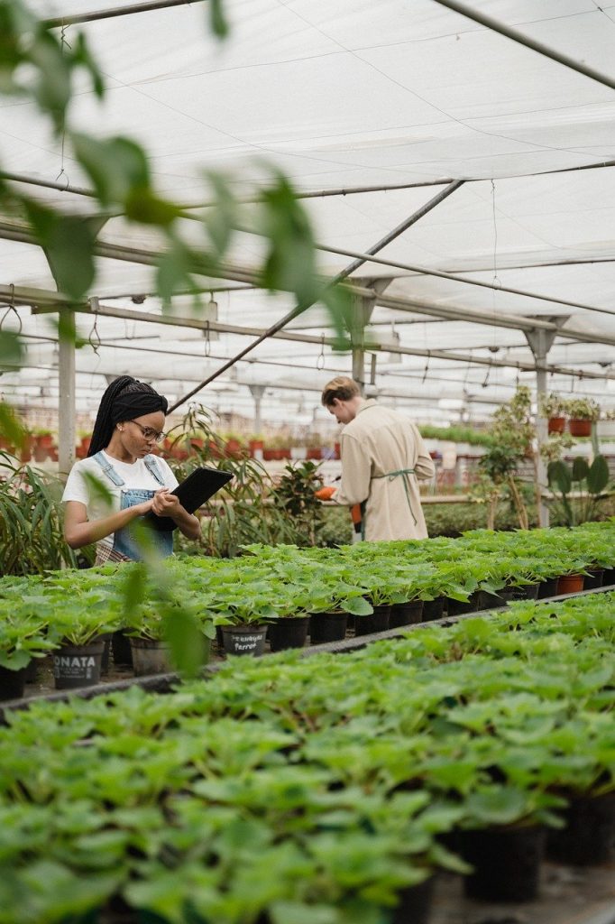 plants, nursery, agriculture-7071785.jpg